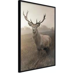 Arkiio Affisch Deer in Sepia [Poster] 20x30 Poster